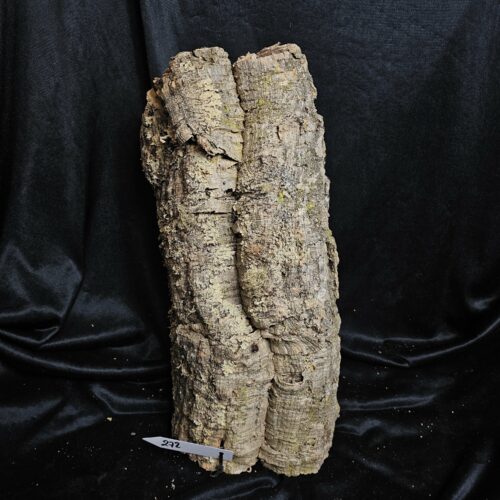 Tronc de liège LH272 - 45x18x22cm