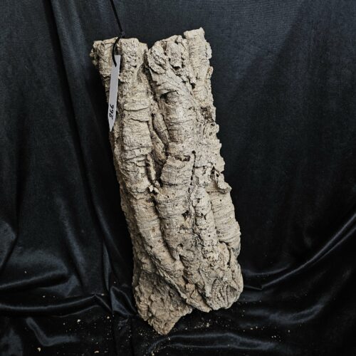 Tronc de liège LH266 - 49x23x18cm