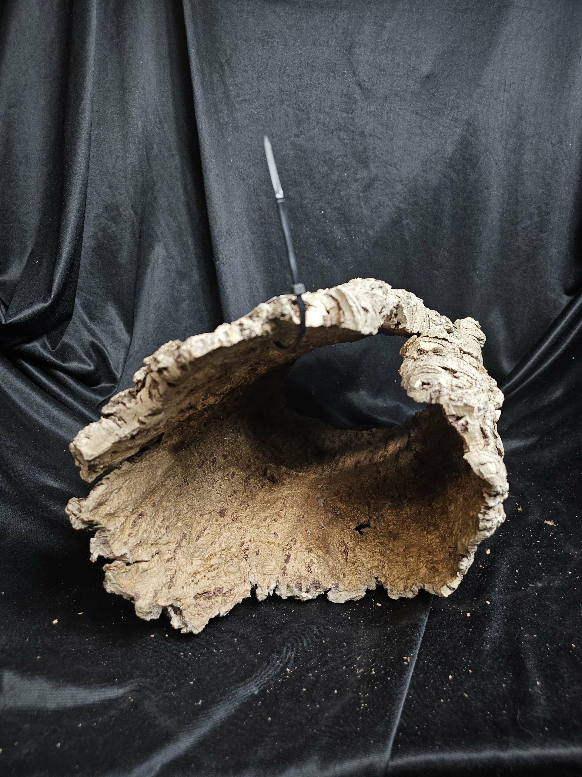 Tronc de liège LH277 - 45x30x26cm – Image 2