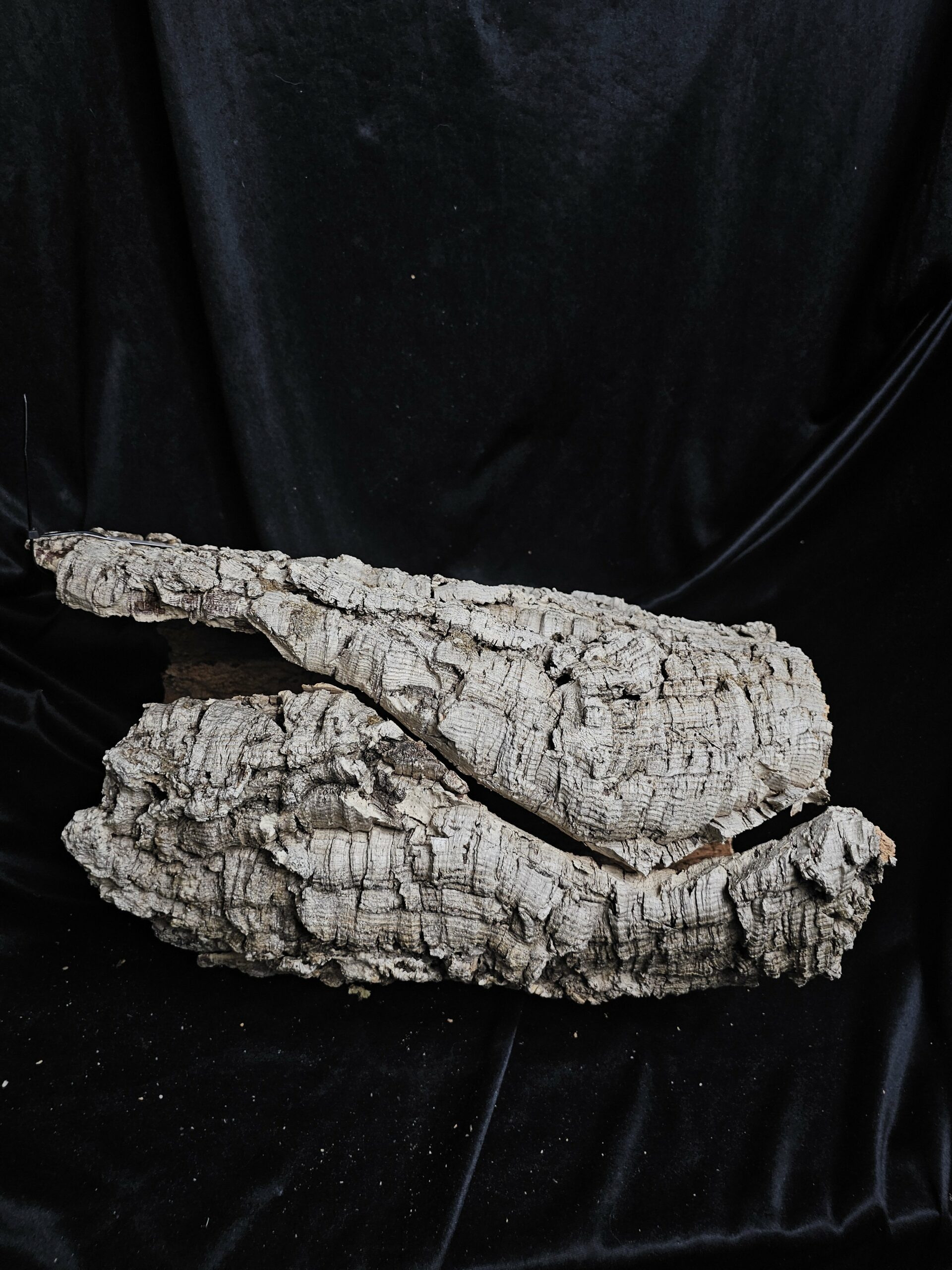 Tronc de liège LH277 - 45x30x26cm – Image 3