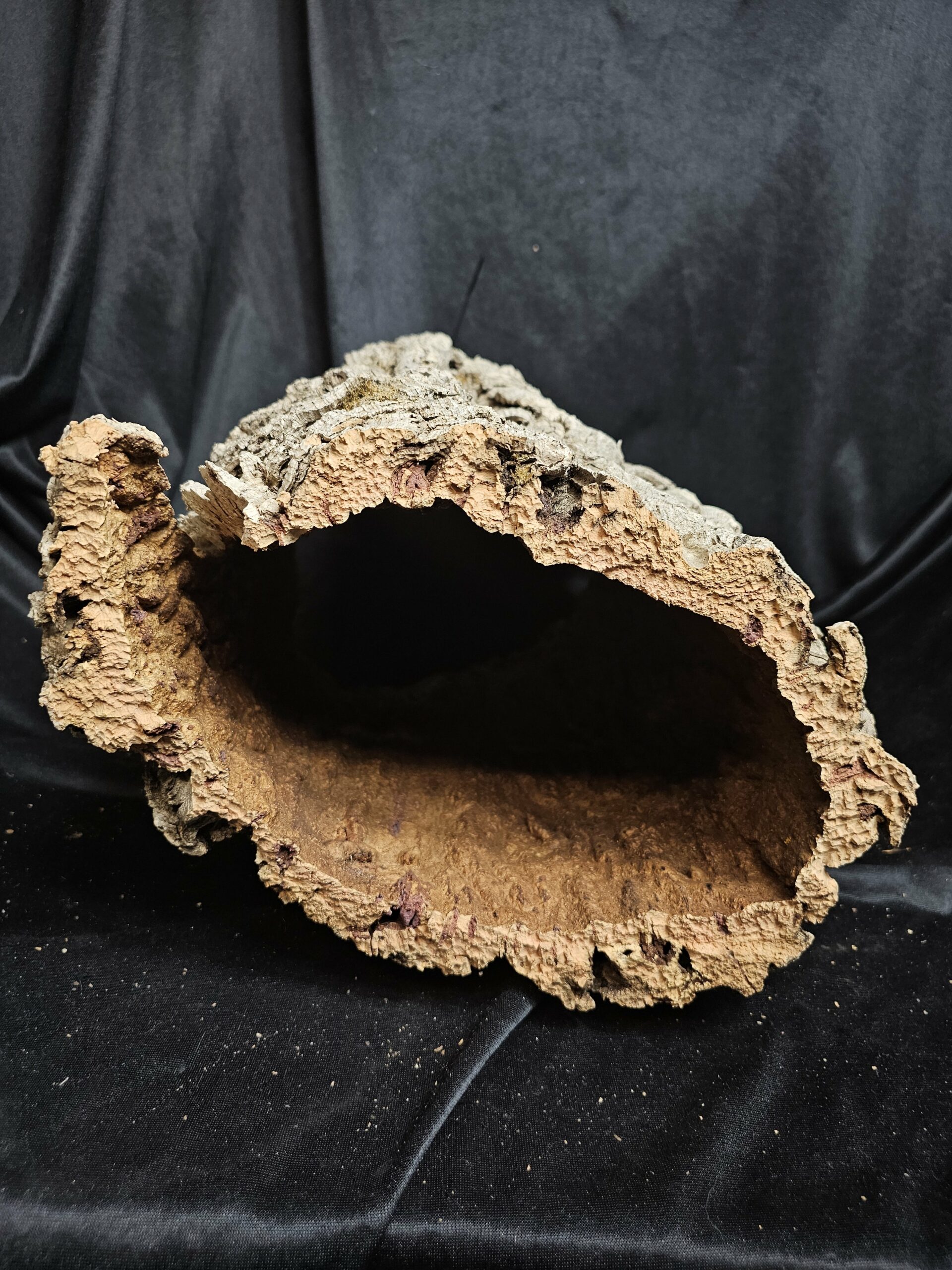 Tronc de liège LH277 - 45x30x26cm – Image 4