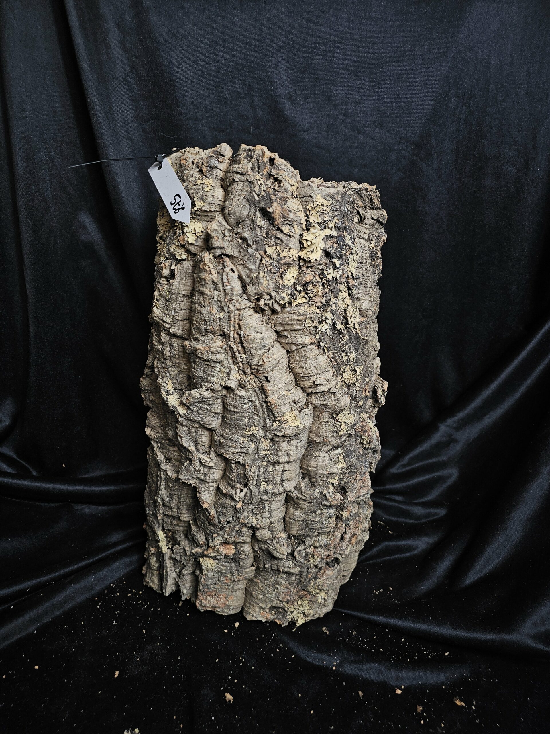 Tronc de liège LH275 - 44x25x23cm – Image 3