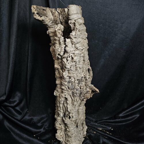 Tronc de liège LH276 - 55x20x20cm