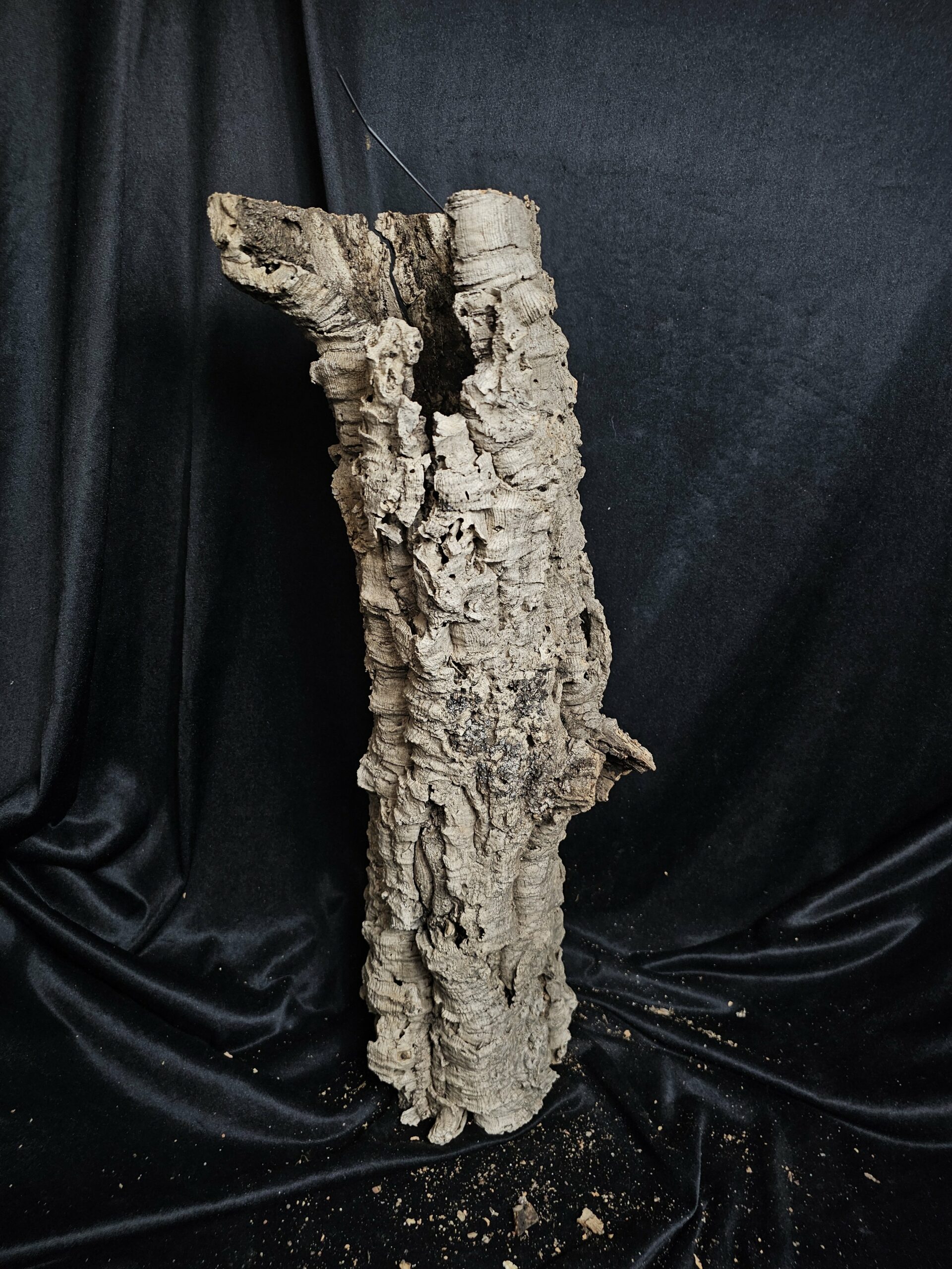 Tronc de liège LH276 - 55x20x20cm