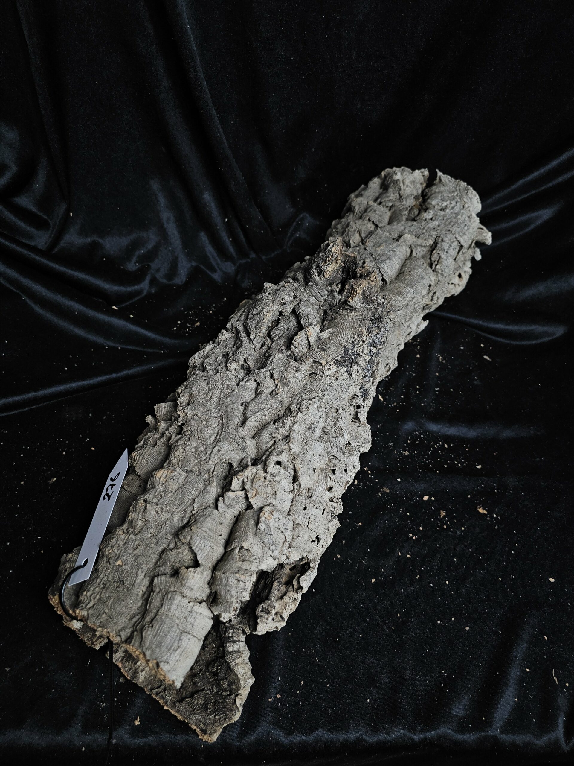 Tronc de liège LH276 - 55x20x20cm – Image 2