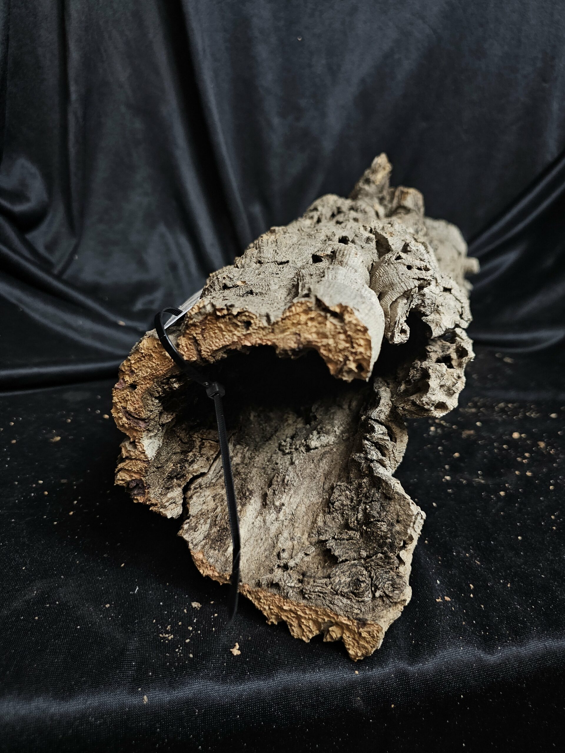 Tronc de liège LH276 - 55x20x20cm – Image 3