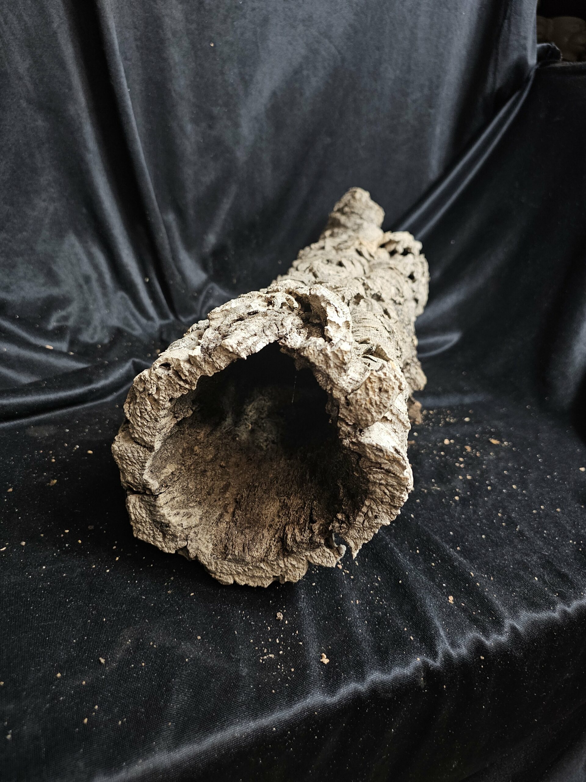 Tronc de liège LH276 - 55x20x20cm – Image 4