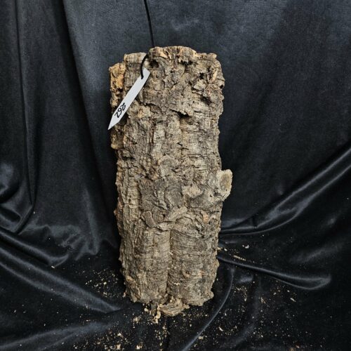 Tronc de liège LH262 - 39x20x18cm