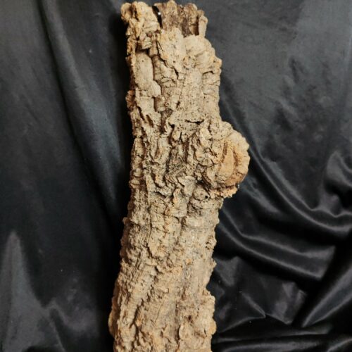 Tronc de liège LH320 - 55x19x14cm