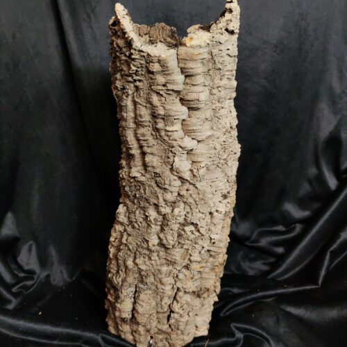 Tronc de liège LH323 - 53x19x15cm