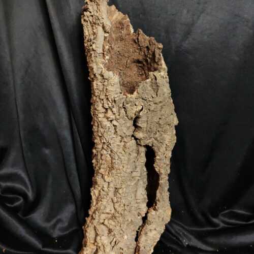 Tronc de liège LH328 - 52x18x15cm