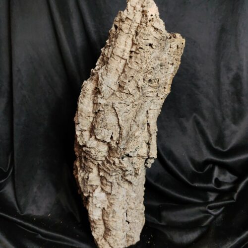 Tronc de liège LH302 - 53x18x21cm