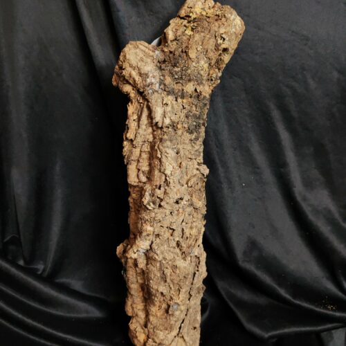 Tronc de liège LH307 - 52x19x14cm