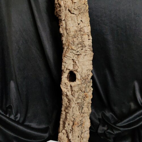 Tronc de liège LH326 - 60x13x12cm