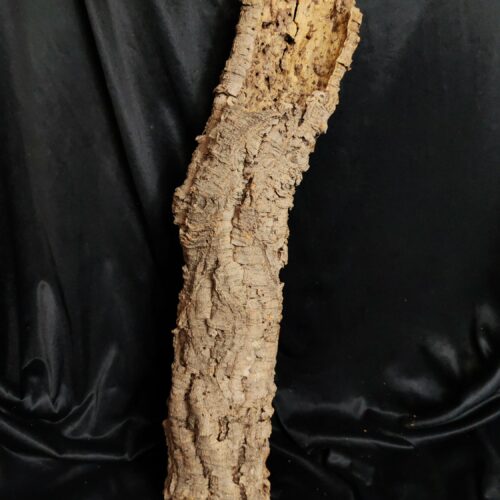 Tronc de liège LH318 - 61x15x13cm