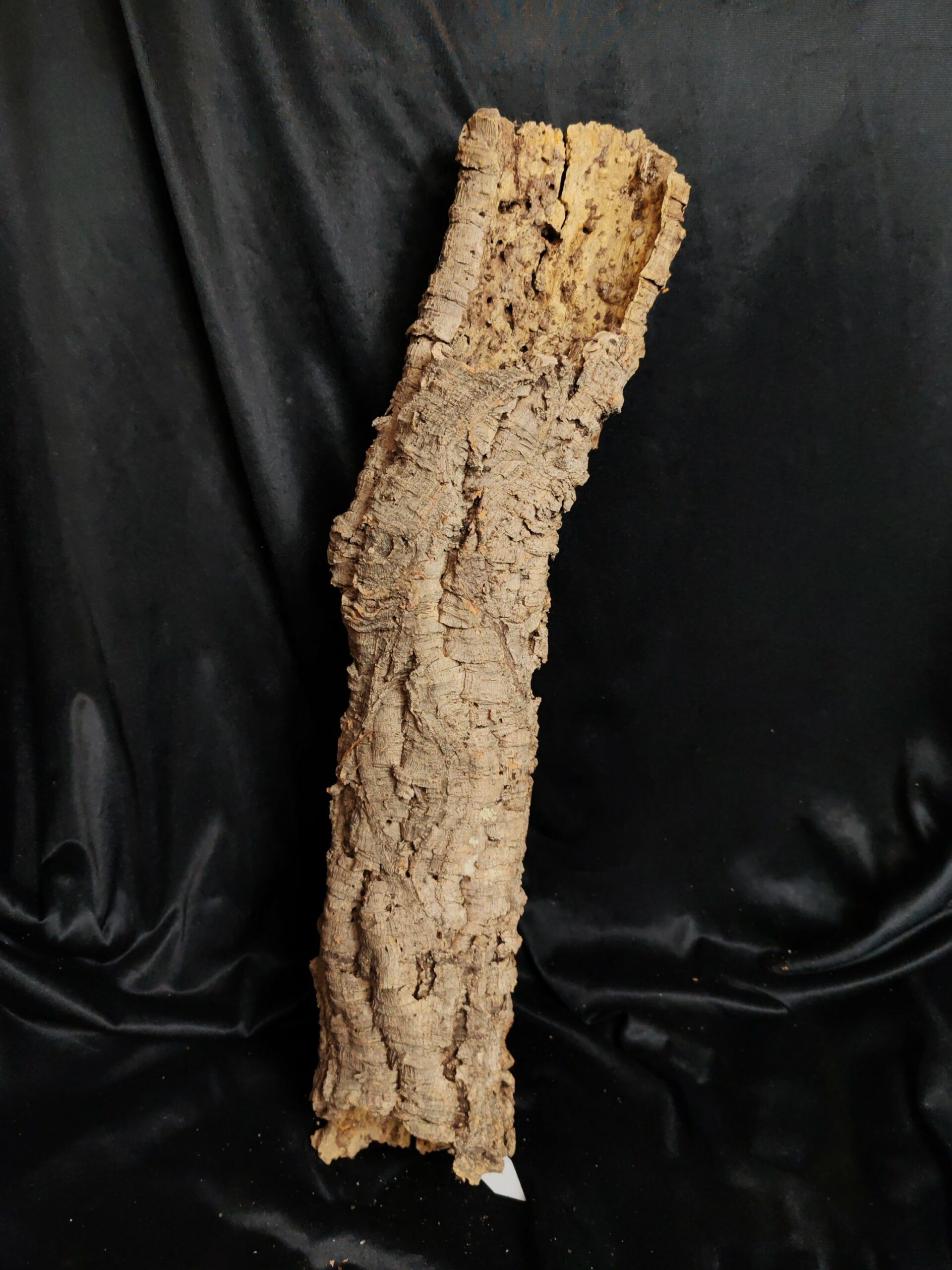 Tronc de liège LH318 - 61x15x13cm