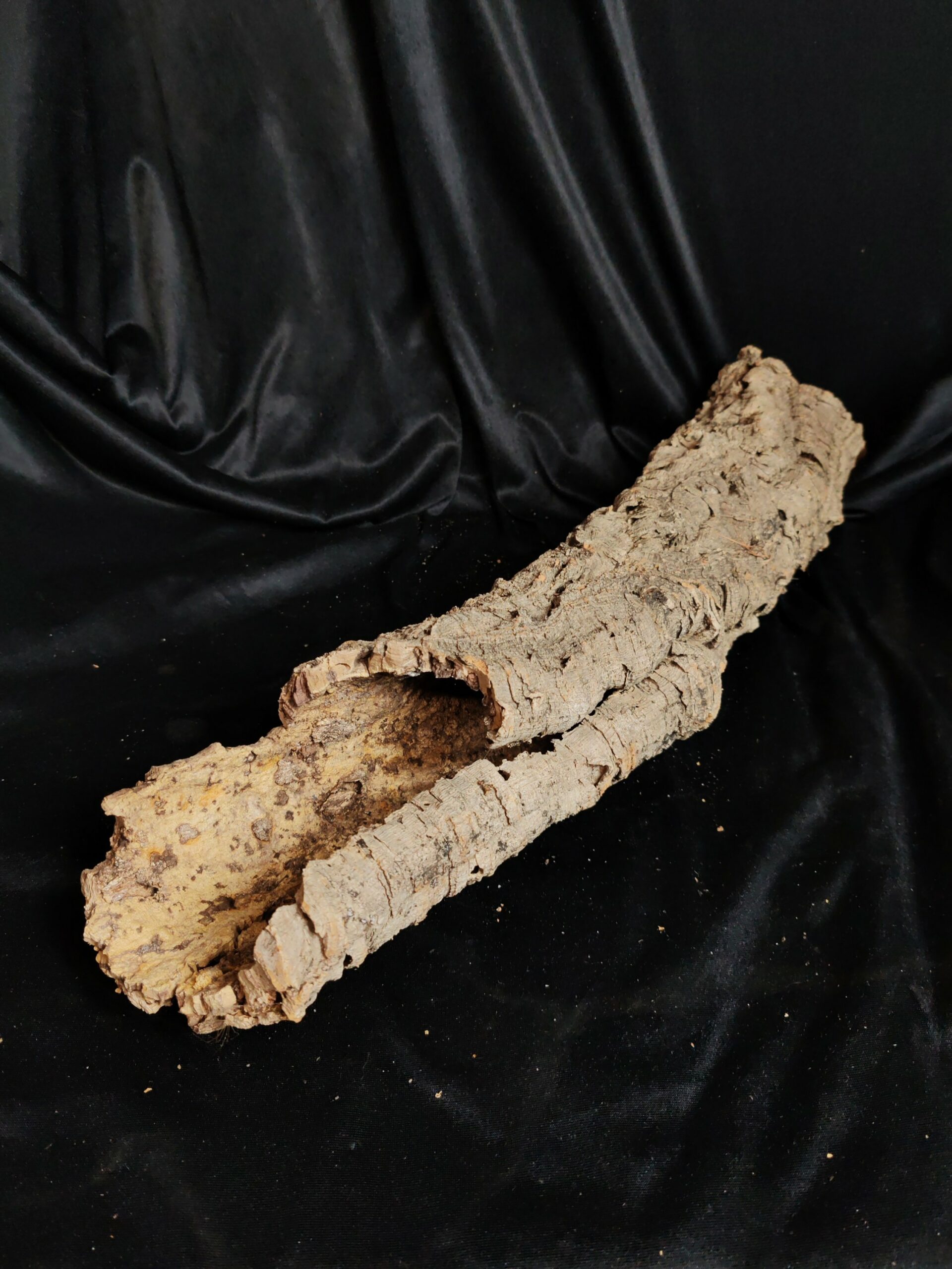 Tronc de liège LH318 - 61x15x13cm – Image 2