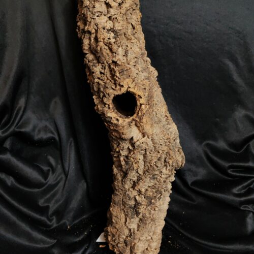 Tronc de liège LH306 - 60x16x16cm