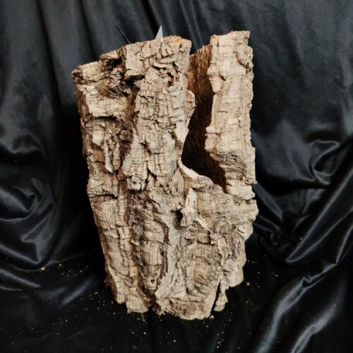 Tronc de liège LH301 - 42x26x25cm