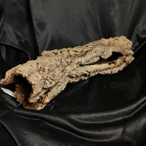 Tronc de liège LH324 - 50x18x14cm