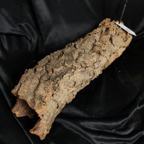 Tronc de liège LH308 - 50x14x15cm