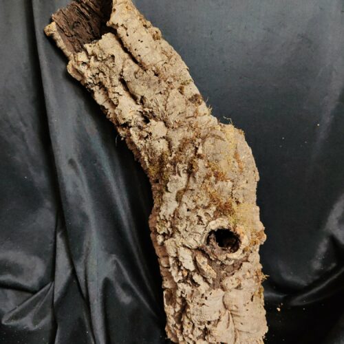 Tronc de liège LH331 - 65x23x17cm