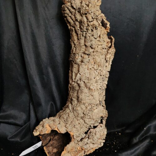 Tronc de liège LH333 - 59x30x17cm