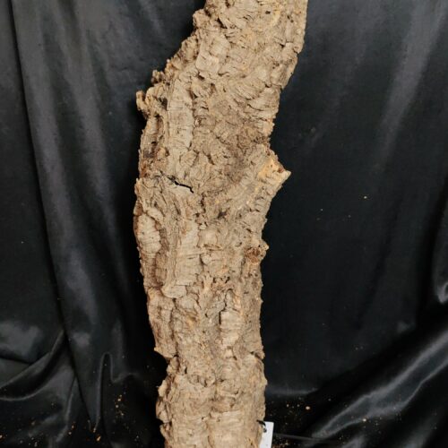 Tronc de liège LH329 - 68x20x18cm