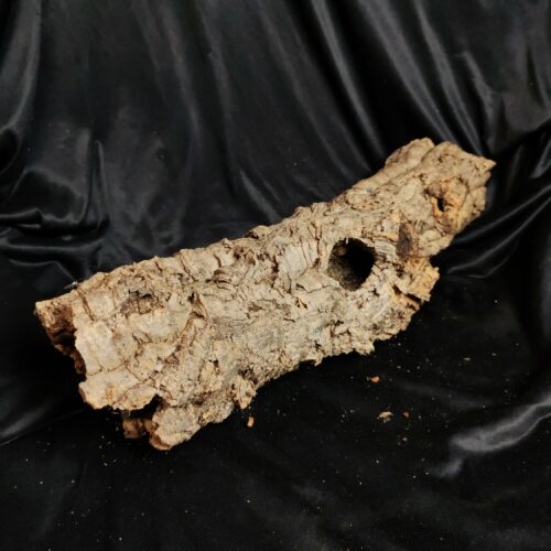 Tronc de liège LH330 - 58x18x16cm