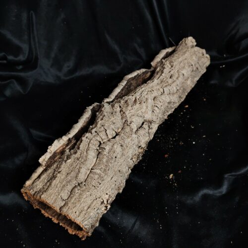 Tronc de liège LH321 - 55x14x12cm