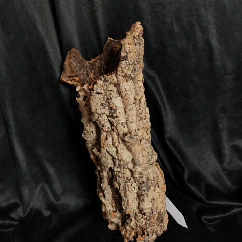 Tronc de liège LH309 - 37x14x14cm