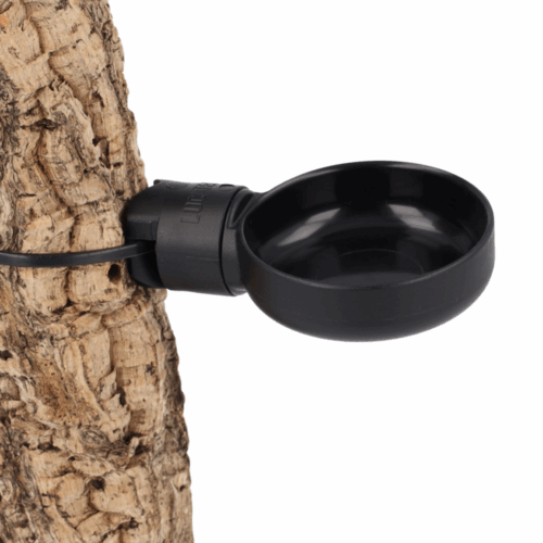 Gamelle pour gecko à accrocher sur branche - Taille L