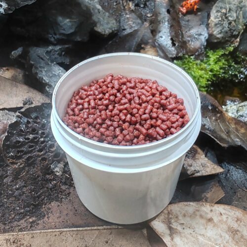 Granulés pour alimentation des têtard de dendrobates - 120ml