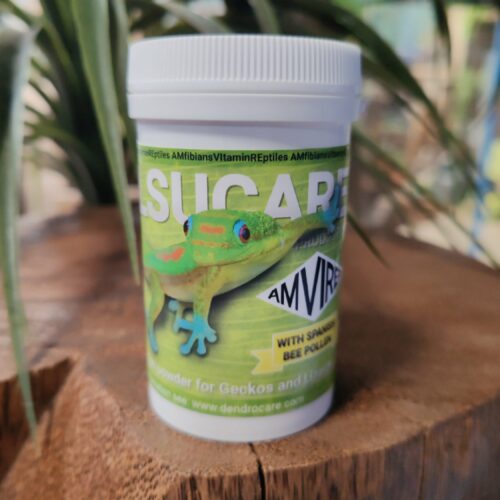 Phelsucare - Vitamines et minéraux pour Phelsuma - Pot de 100g