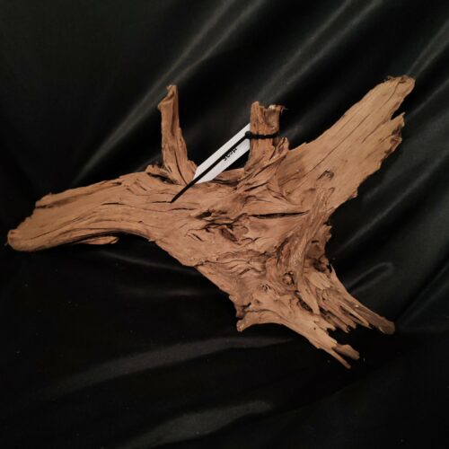 Racine de mangrove M035 - 52x28x5cm