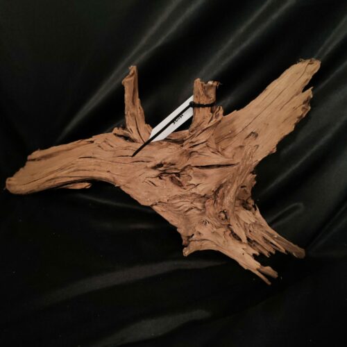 Racine de mangrove M035 - 52x28x5cm