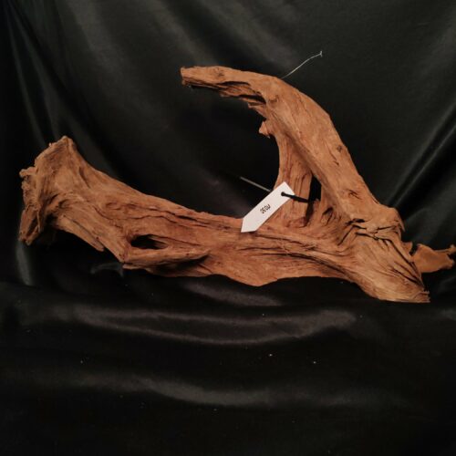 Racine de mangrove M030 - 52x26x17cm