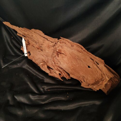 Racine de mangrove M033 - 70x18x19cm