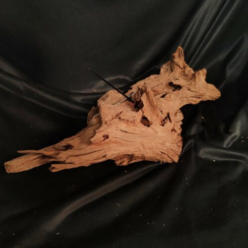 Racine de mangrove M022 - 54x24x17cm