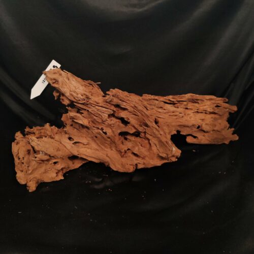 Racine de mangrove M021 - 68x25x26cm