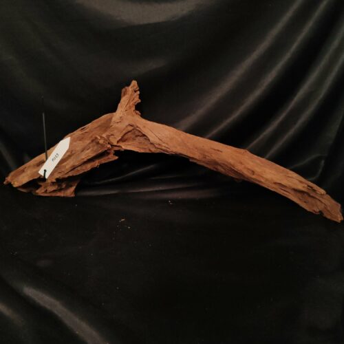 Racine de mangrove M029 - 64x26x14cm