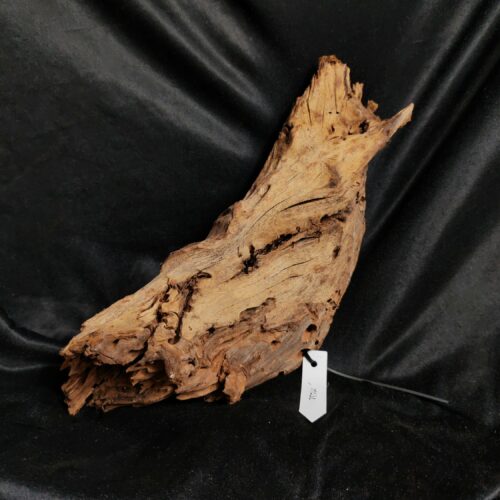 Racine de mangrove M032 - 38x14x12cm