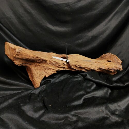 Racine de mangrove M016 - 53x19x20cm
