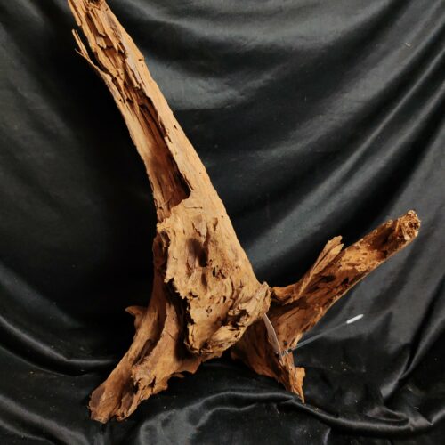 Racine de mangrove M017 - 61x41x23cm