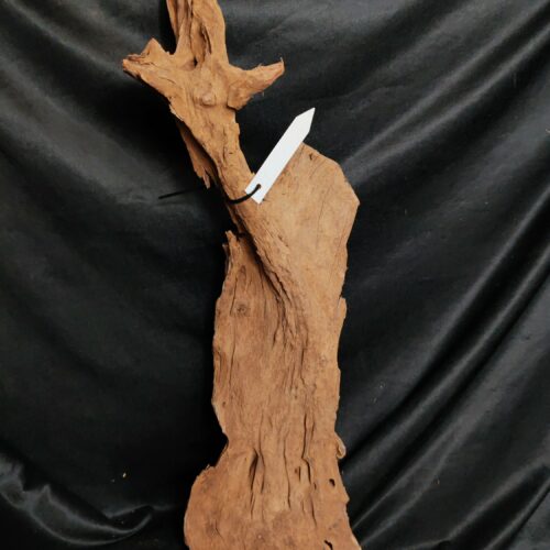 Racine de mangrove M015 - 62x25x16cm