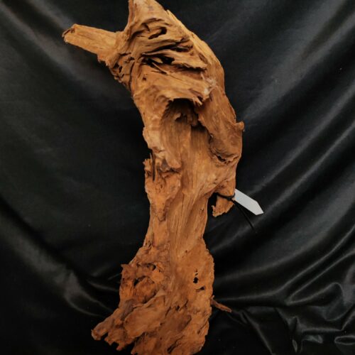 Racine de mangrove M025 - 47x33x26cm