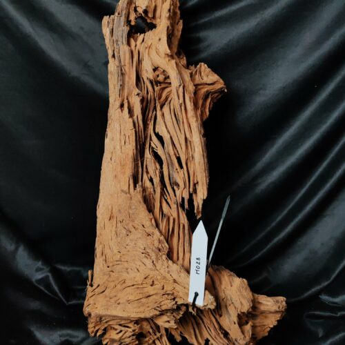 Racine de mangrove M028 - 54x30x14cm