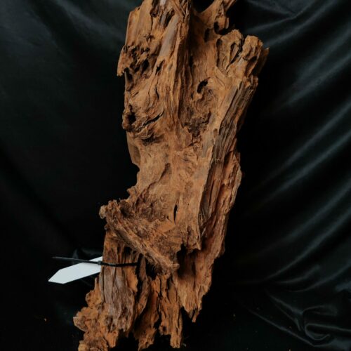 Racine de mangrove M027 - 57x22x23cm