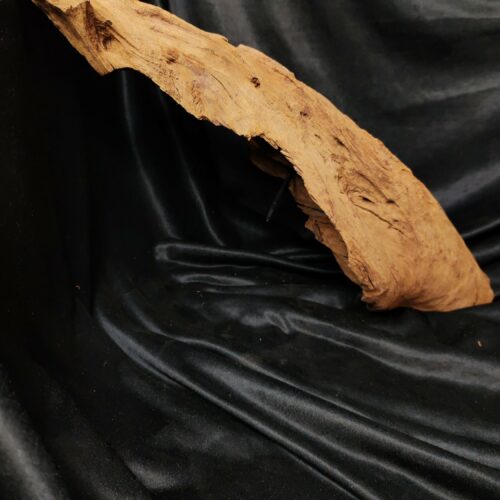 Racine de mangrove M013 - 61x22x15cm