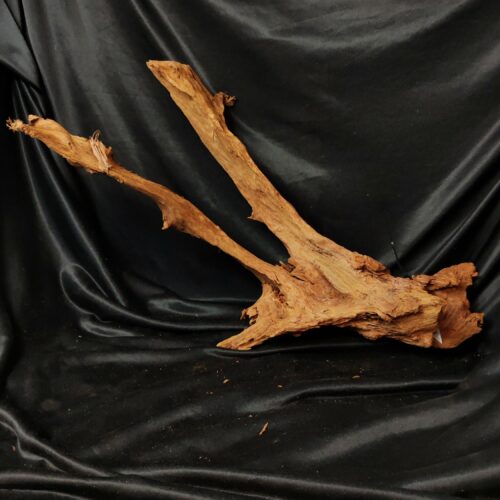 Racine de mangrove M011 - 70x31x20cm